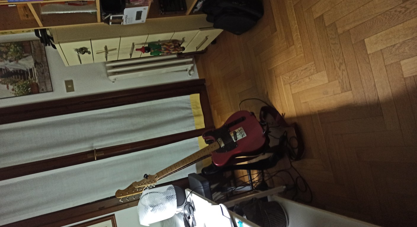 cover_278764_st_assemblaggio_corpo_chitarra_img_01