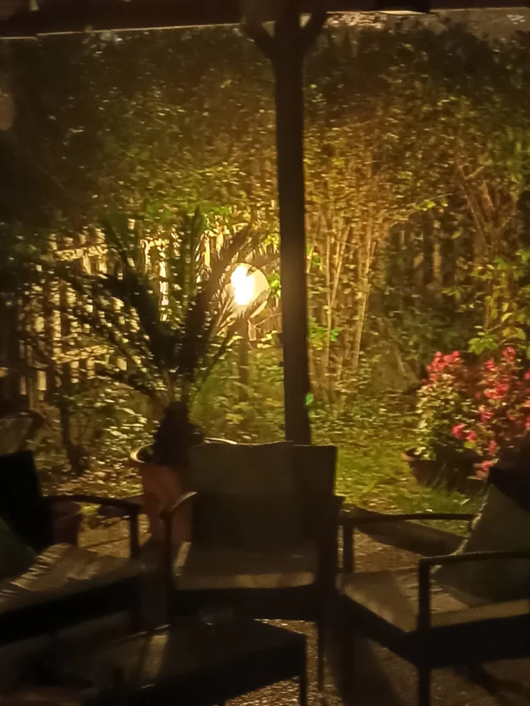Preparazione corpo giardino notturno
